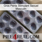 Gros Pénis Stimulant Sexuel Masculin 31